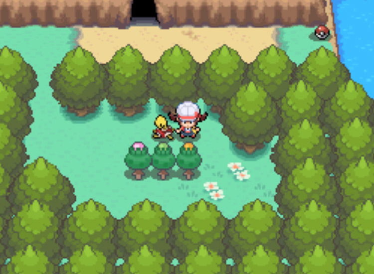 The location of the Green Apricorn tree on Route 42 / Pokémon HGSS