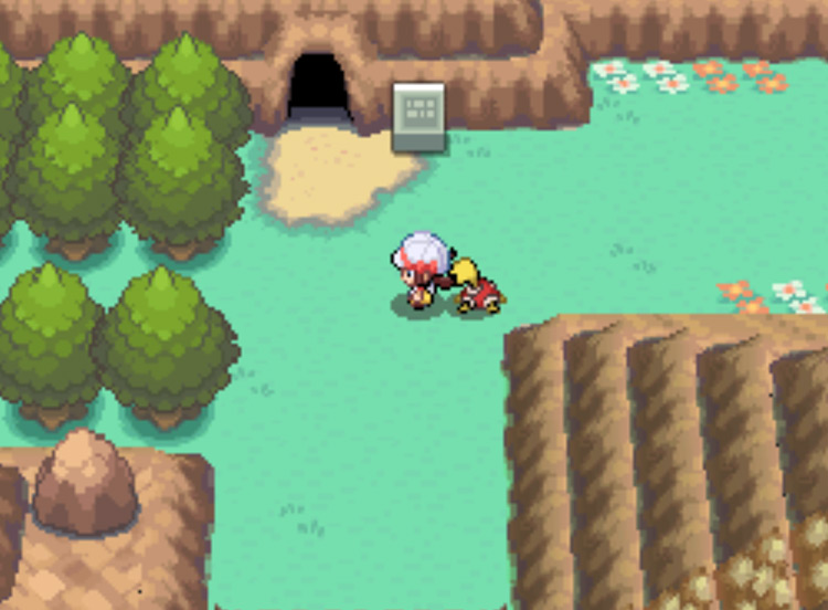 The second entrance to Dark Cave on 46 / Pokémon HGSS