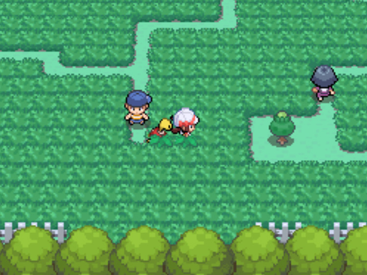 The location of the Green Apricorn tree on Route 11 / Pokémon HGSS