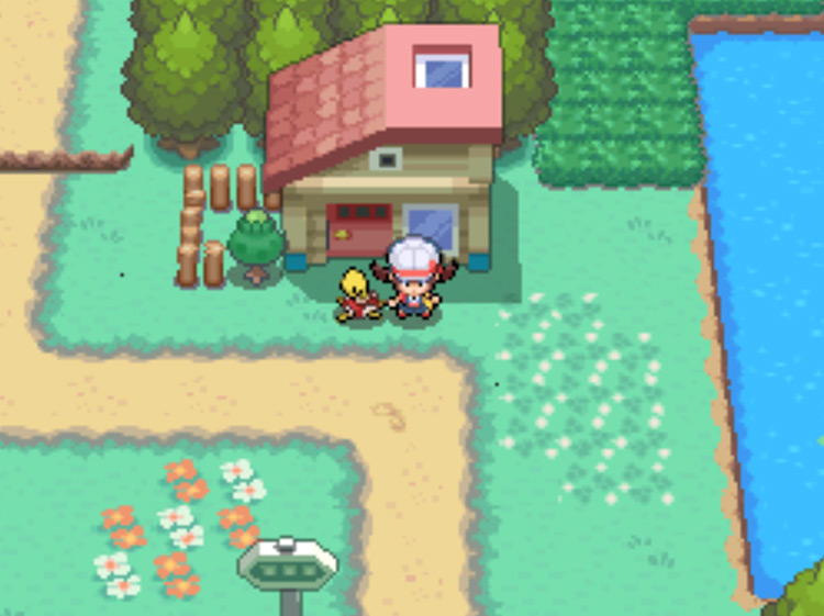 The house on Route 30 containing the man who gifts you an Apricorn Box / Pokémon HGSS