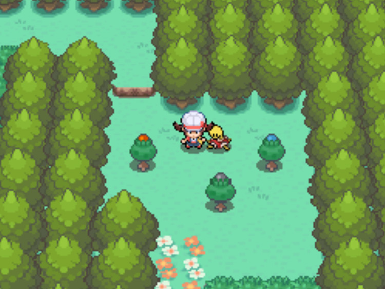 The location of the Red Apricorn tree on Route 37 / Pokémon HGSS