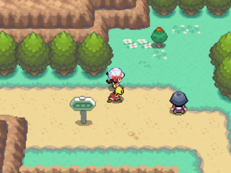 The location of the Red Apricorn tree on Route 44 / Pokémon HGSS