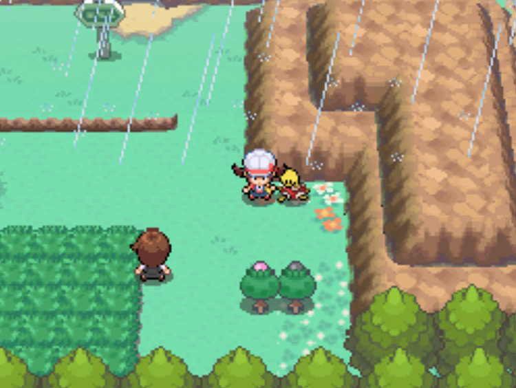 The location of the Pink Apricorn tree on Route 33 / Pokémon HGSS