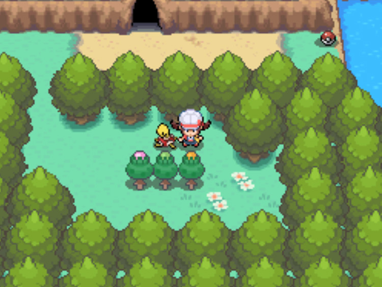 The location of the Pink Apricorn tree on Route 42 / Pokémon HGSS