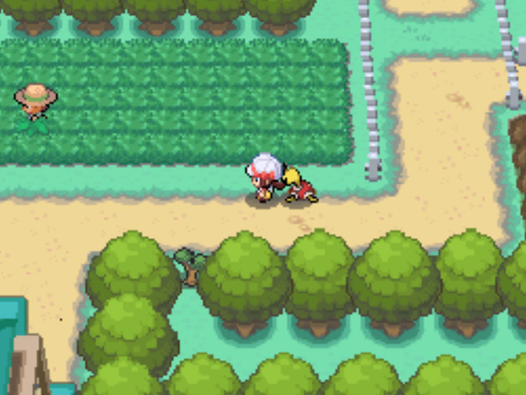 The Cut-able tree on Route 2 / Pokémon HGSS