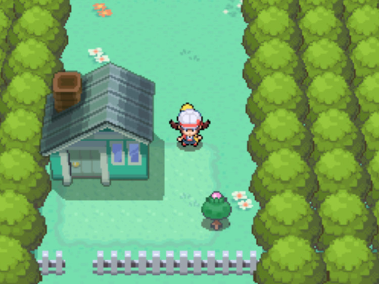 The location of the Pink Apricorn tree on Route 2 / Pokémon HGSS