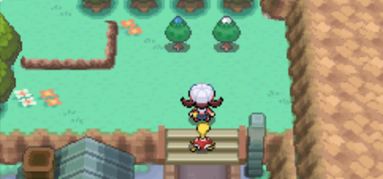 Blue Apricorn Tree in the wild (HeartGold)