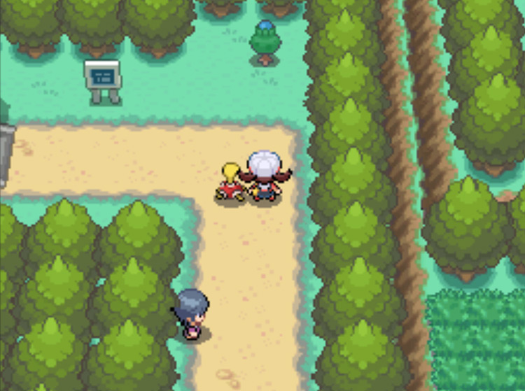 The location of the Blue Apricorn tree on Route 36 / Pokémon HGSS