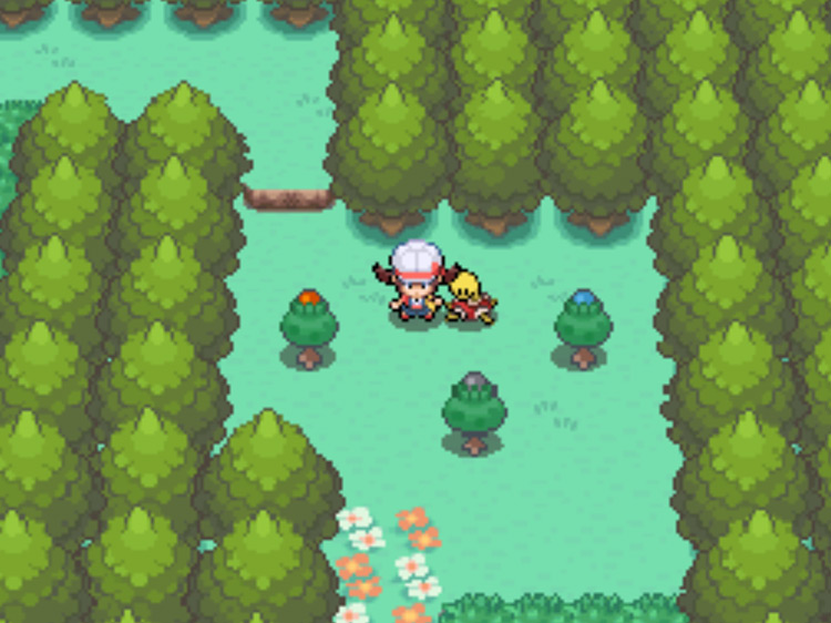 The location of the Blue Apricorn tree on Route 37 / Pokémon HGSS