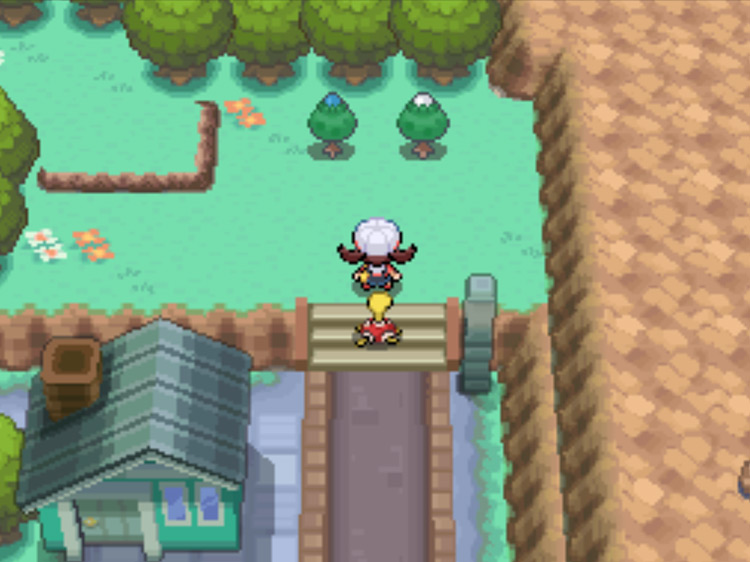 The location of the Blue Apricorn tree in Pewter City / Pokémon HGSS