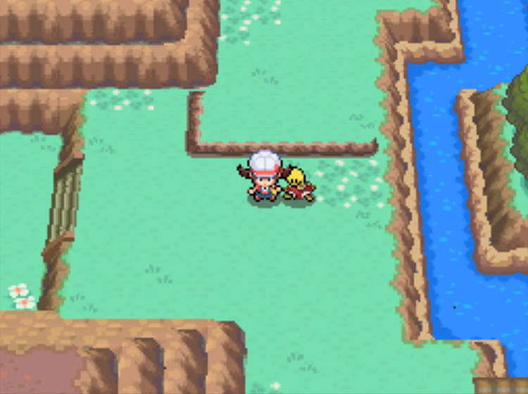 The point at which you should stop running directly down on Route 46 / Pokémon HGSS