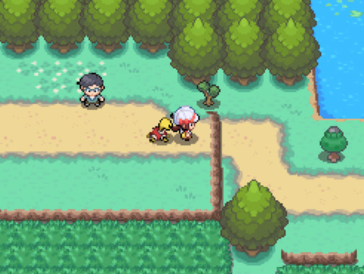 The location of the Black Apricorn tree on Route 31 / Pokémon HGSS