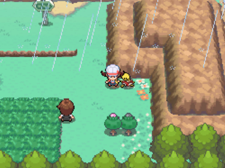 The location of the Black Apricorn tree on Route 33 / Pokémon HGSS