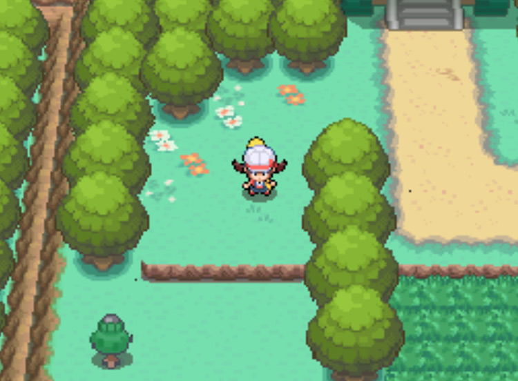 The location of the Black Apricorn tree on Route 1 / Pokémon HGSS