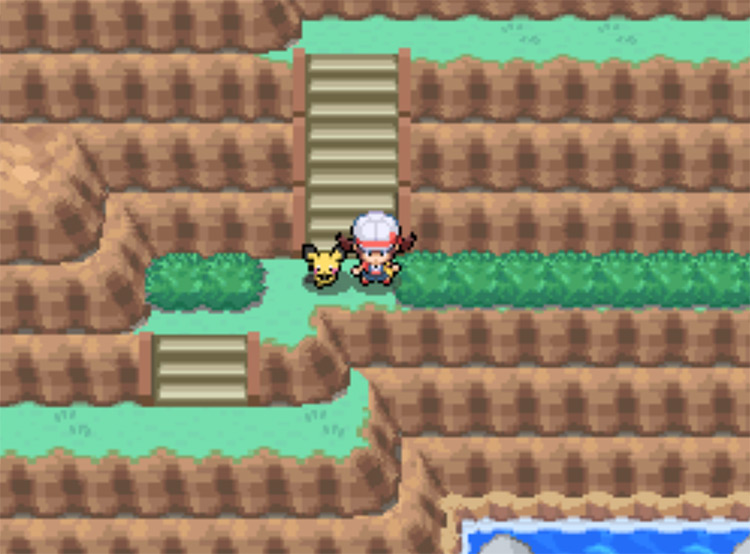 The first set of staircases on Route 27 / Pokemon HGSS
