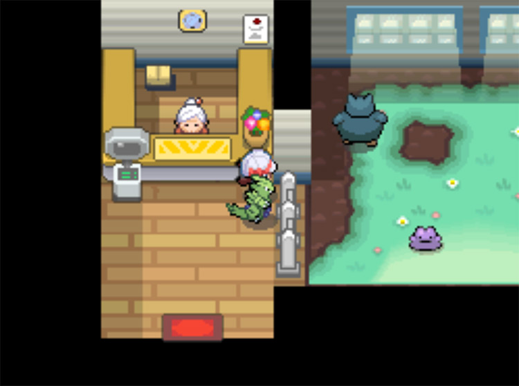 A Snorlax in the Pokémon Day Care with a Ditto / Pokémon HGSS