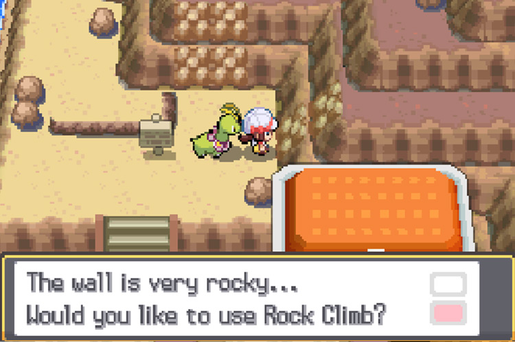 The two available paths that can be explored with Rock Climb. / Pokémon HeartGold and SoulSilver