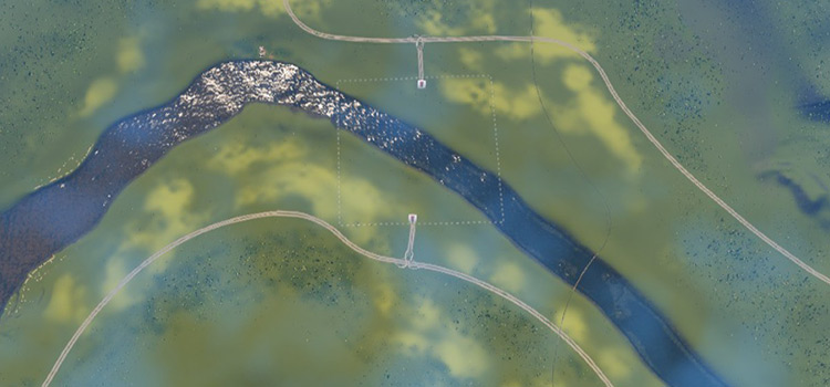 Grand River Map from above (Cities: Skylines)