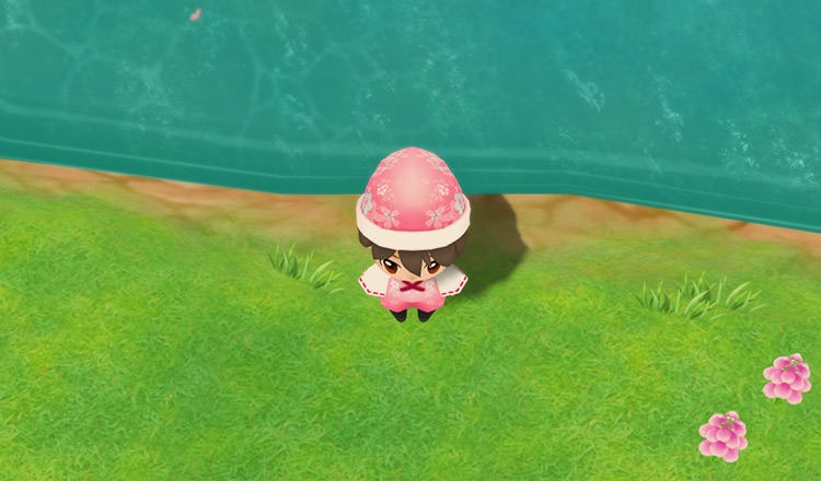 The player stands in front of Kappa’s lake / SoS: FoMT