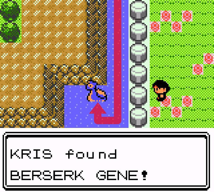 Finding the Berserk Gene hidden in the river west of Cerulean City / Pokémon Crystal