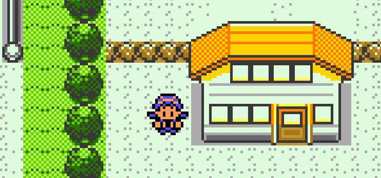 Day Care on Route 5 Kanto