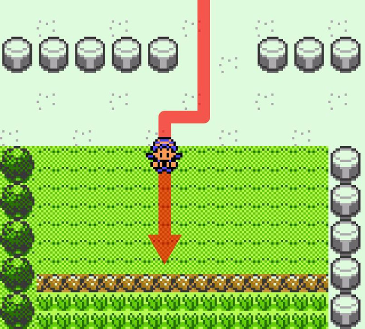 Approaching the ledges in Route 5 (center) / Pokémon Crystal