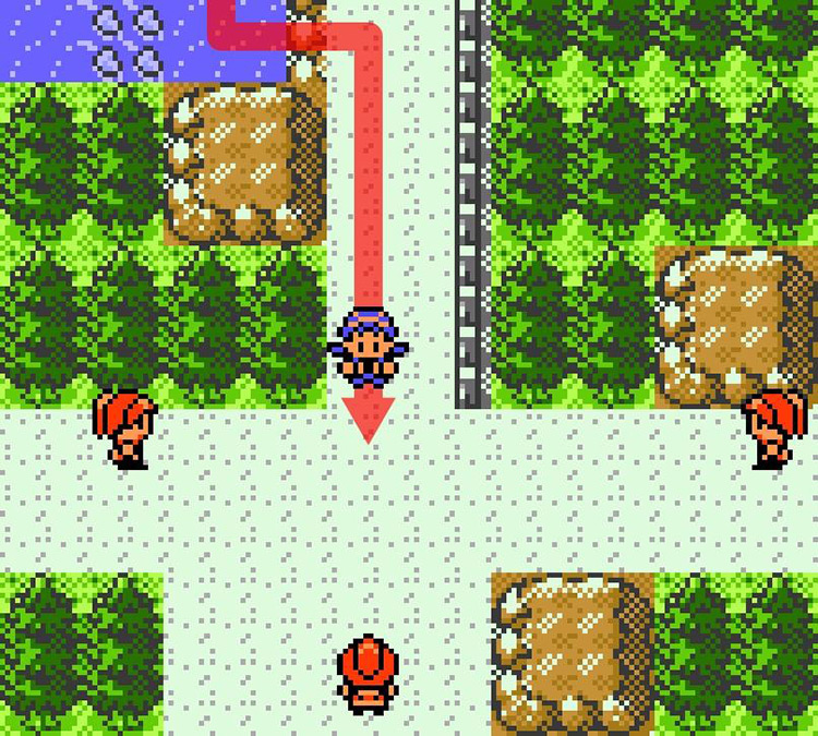Three Cooltrainers wait for a challenger at Route 34 (hidden area) / Pokémon Crystal