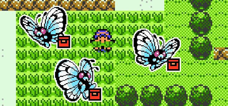 Wild Butterfree on Route 2