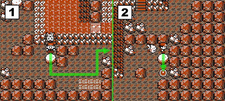 Standing behind a boulder on the 1st floor (Left) and pushing the boulder next to a switch. (Right) / Pokémon Yellow