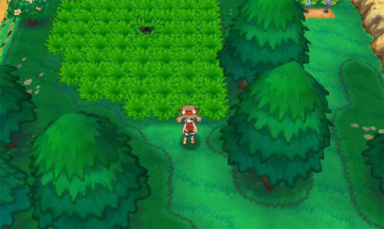 The northern side of Route 115 / Pokémon ORAS
