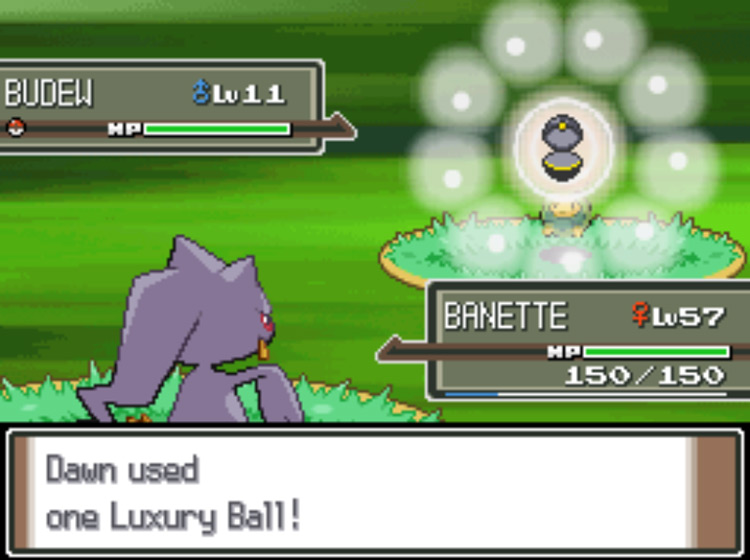 Using a Luxury Ball to catch a Budew and evolve it to Roselia more quickly / Pokémon Platinum