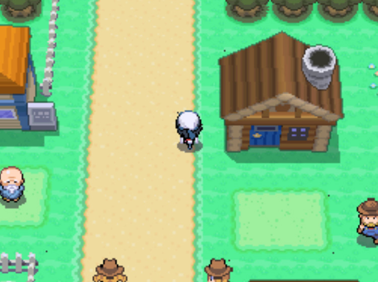 Riding up and down Solaceon Town’s main road to boost Friendship / Pokémon Platinum