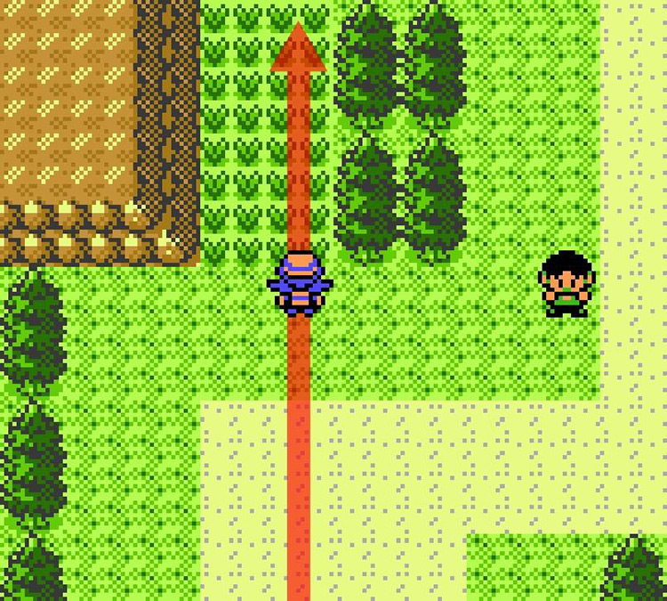 Going into the tall grass near the start of Route 43 / Pokémon Crystal