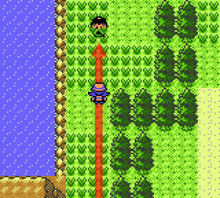 Approaching Picnicker Tiffany on Route 43 / Pokémon Crystal