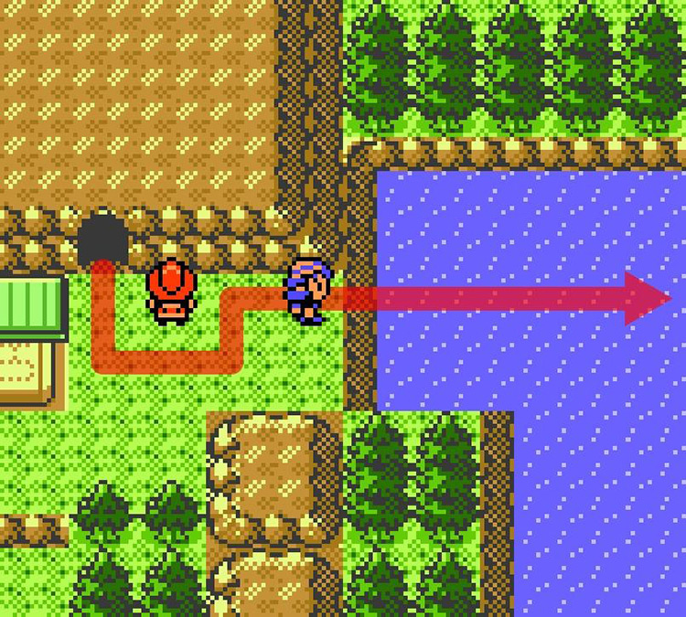 Facing the water east of Tohjo Falls / Pokémon Crystal