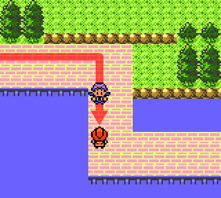 Approaching Cooltrainer Reena on Route 27 / Pokémon Crystal