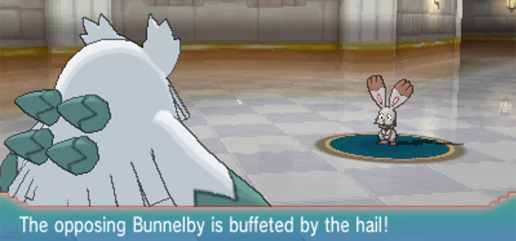 Damaging an opponent with Hail in Pokémon ORAS