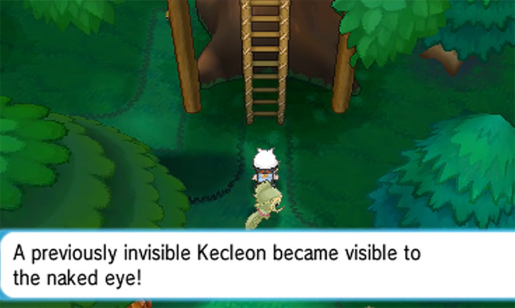 Revealing the Kecleon blocking the path / Pokémon Omega Ruby and Alpha Sapphire