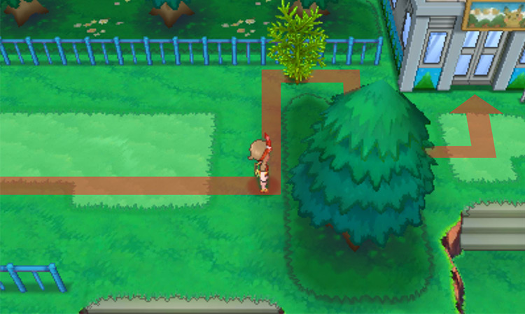 In front of the Safari Zone / Pokémon Omega Ruby and Alpha Sapphire