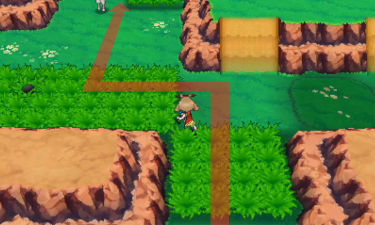 The correct path to take to reach the TM / Pokémon Omega Ruby and Alpha Sapphire