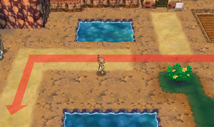 Following the path heading south / Pokémon Omega Ruby and Alpha Sapphire