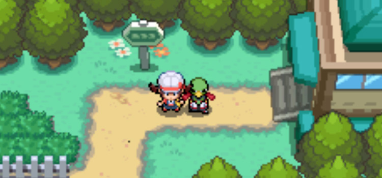 Standing on Route 38 with Xatu (Pokémon HGSS)