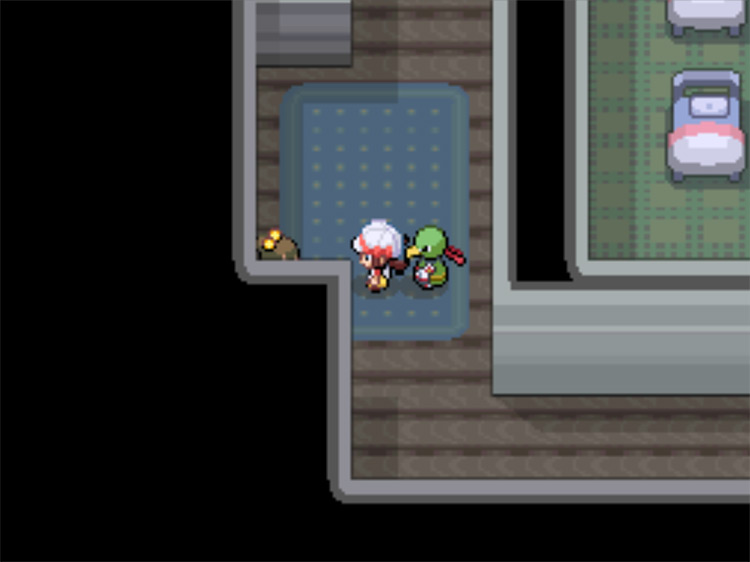 The granddaughter's hiding place / Pokemon HGSS