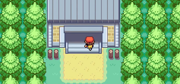 Entering the Route 2 Gate for HM05 in Pokémon FireRed