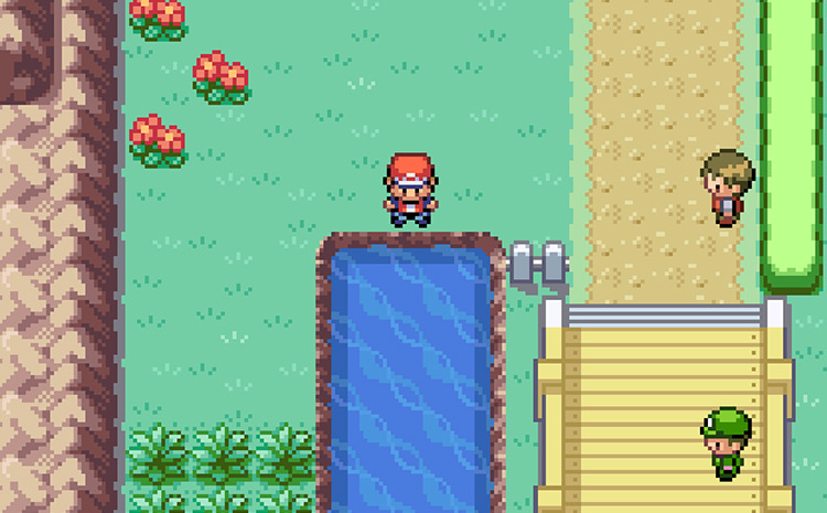 Surf from this spot to reach Cerulean Cave / Pokémon FireRed & LeafGreen