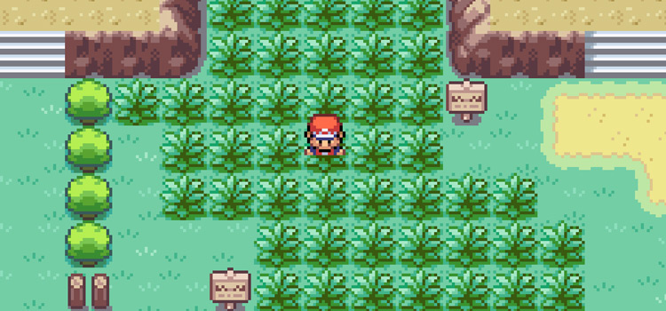 In Area 2 of the Safari Zone (Pokémon FireRed)