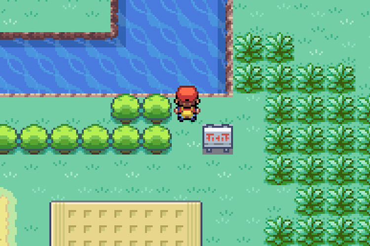 Cómo encontrar a Chansey en Safari Zone em 2023