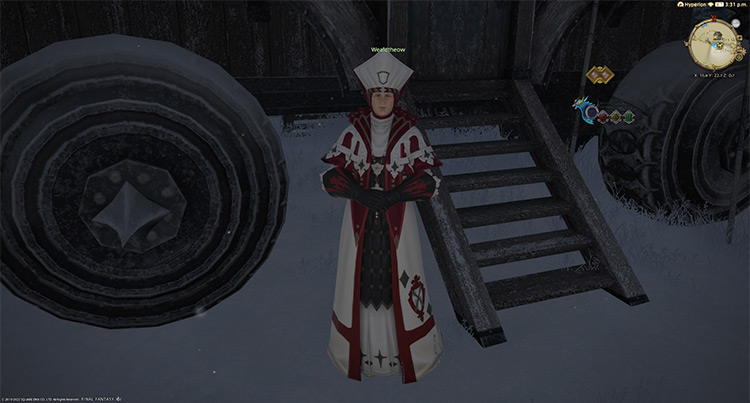 The Elezen priest Wealdtheow / Final Fantasy XIV