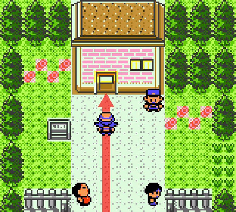 Approaching the National Park entrance on Route 35. / Pokémon Crystal