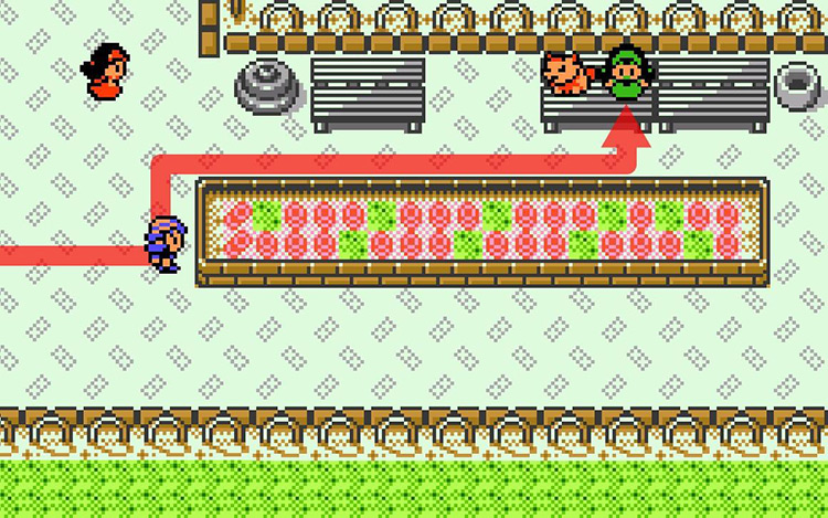 Approaching the woman with her Pokémon on a bench at the National Park. / Pokémon Crystal